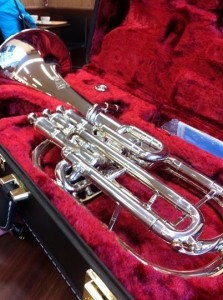 Nicola Swann's New Horn